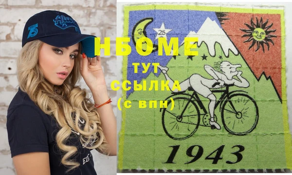 хмурый Алзамай