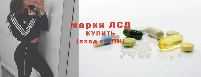 хмурый Алзамай