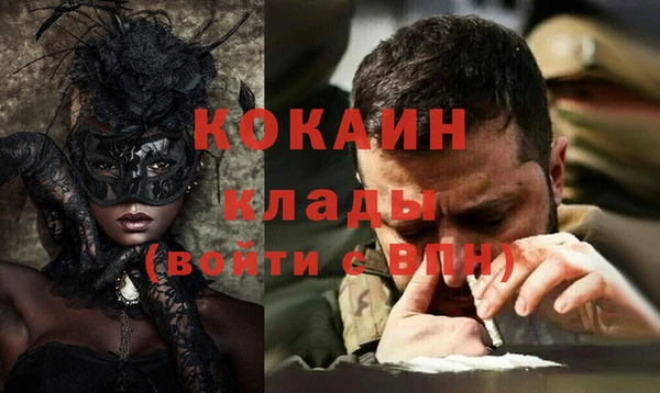 хмурый Алзамай