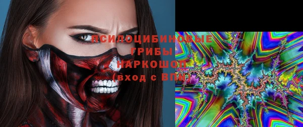 хмурый Алзамай