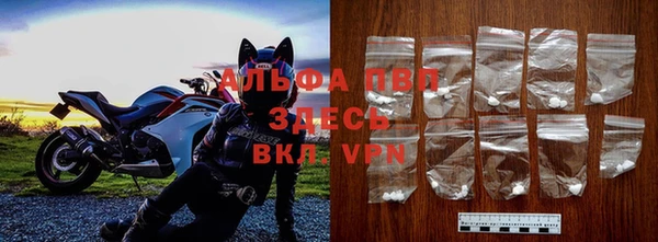 хмурый Алзамай