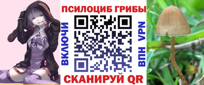 наркота  Приморск  Псилоцибиновые грибы мухоморы 